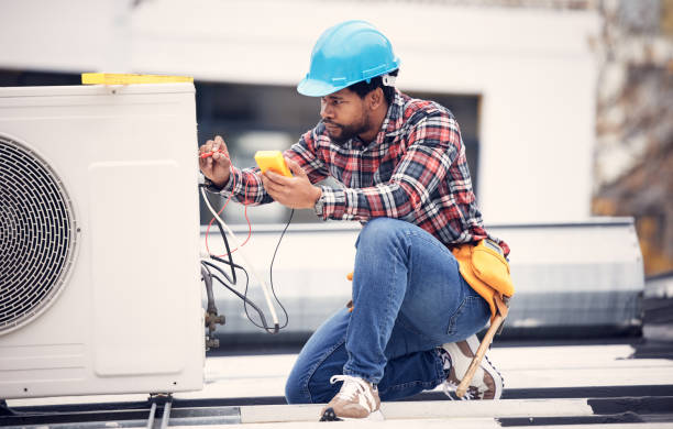 Best Generator Installation Services  in Ara, AL